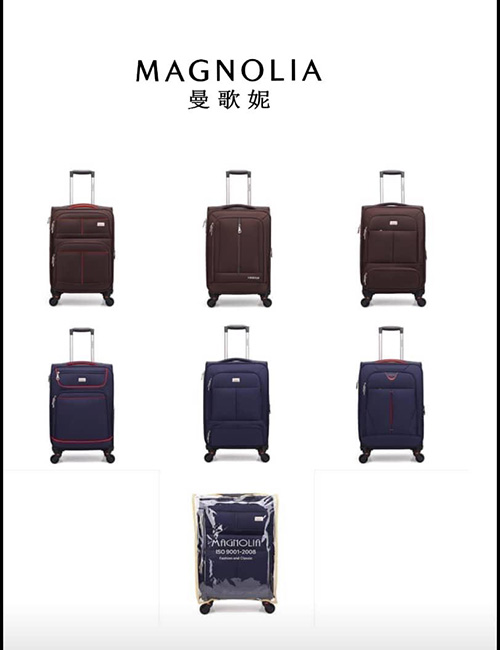 Luggage 